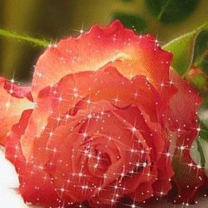 Meet your Posher, Rasha